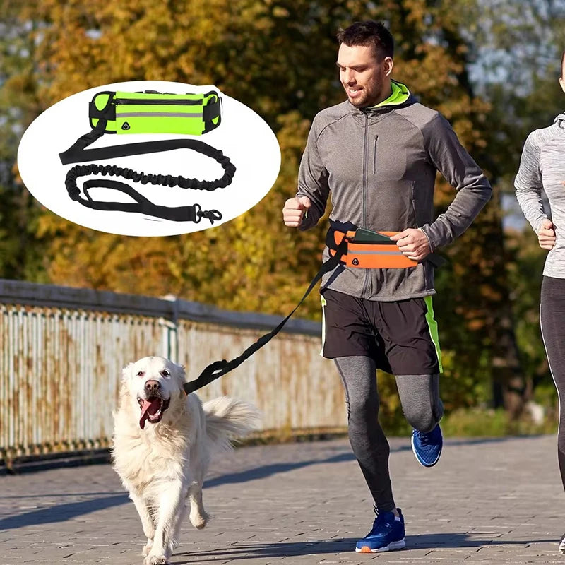 Hands Free Dog Leash for Running Walking Reflective Leash with Waist Bag Retractable Elastic Belt Dog Traction Rope Pet Products