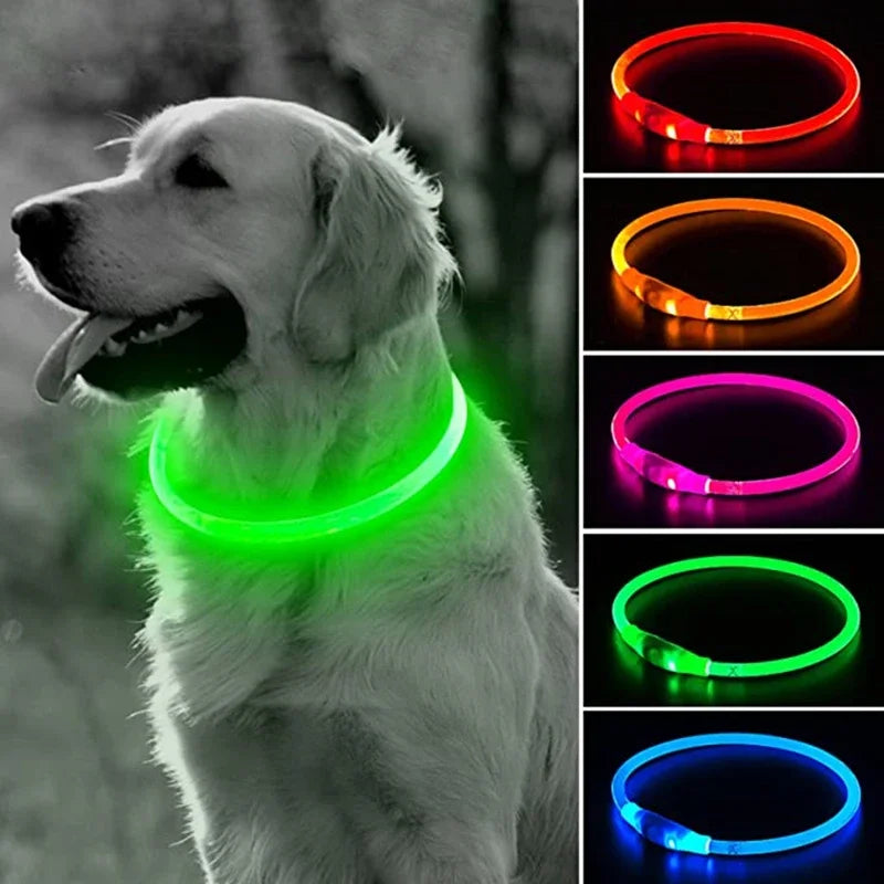 Led Light Dog Collar Detachable Glowing USB Charging Luminous Leash for Big Cat Collar Small Bright Labrador  Pets Dogs Products