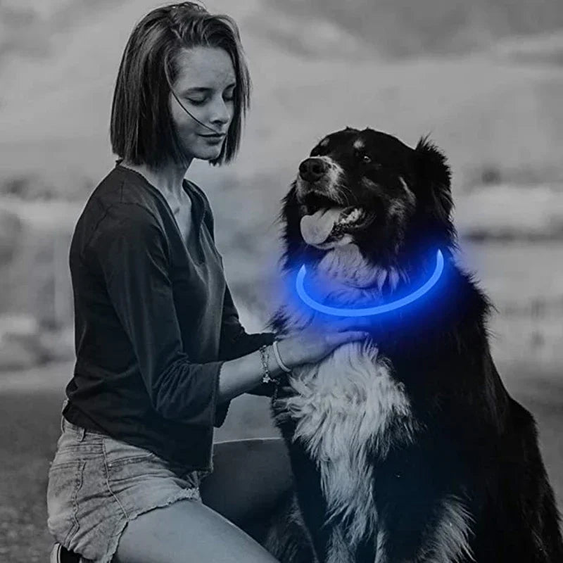 Led Light Dog Collar Detachable Glowing USB Charging Luminous Leash for Big Cat Collar Small Bright Labrador  Pets Dogs Products